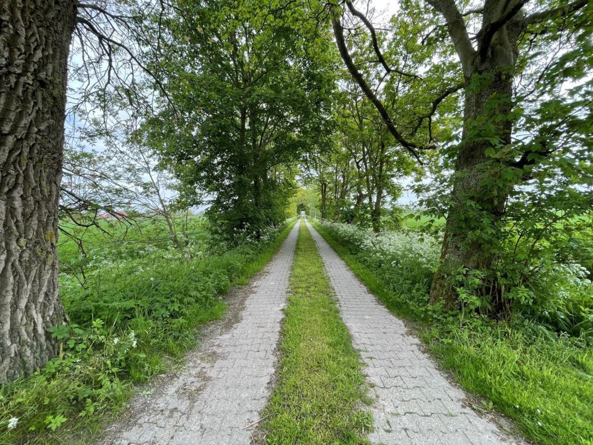 Mooi Stuv , Maisonettenwohnung , Gulfhof , Kachelofen Norden Luaran gambar